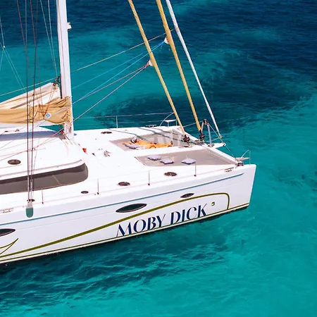 Catamaran Mobydick *